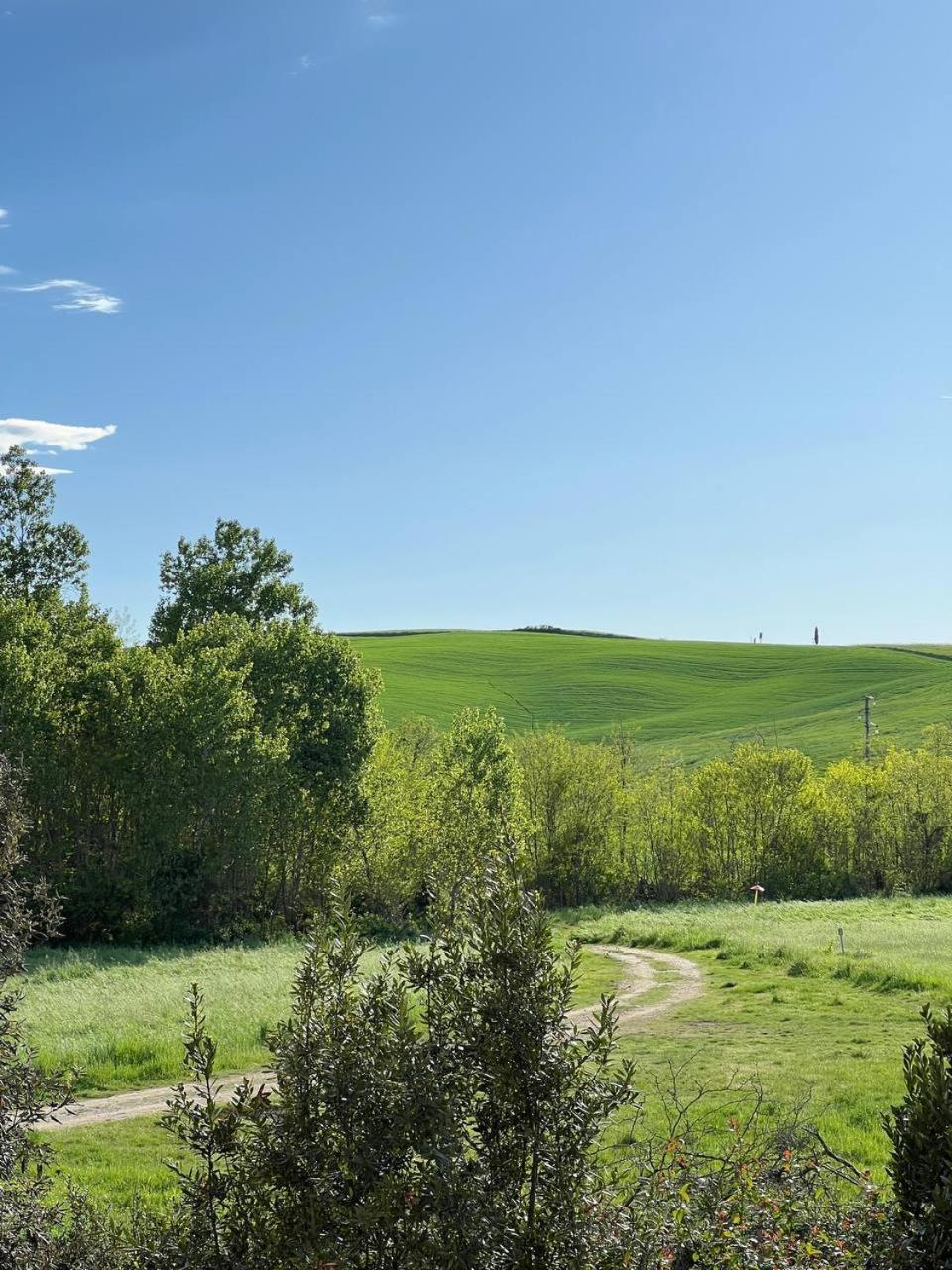 L'Olivo Maritato Appartement Siena Buitenkant foto